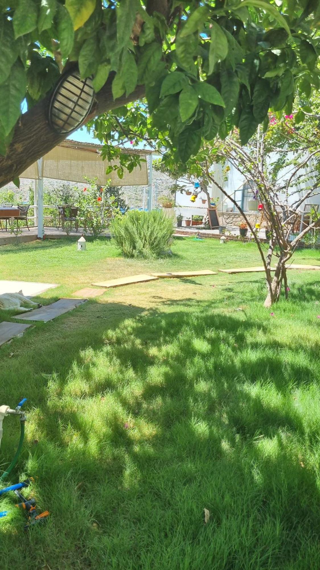 Lemon Garden Boutique Hotel 博兹布伦 外观 照片